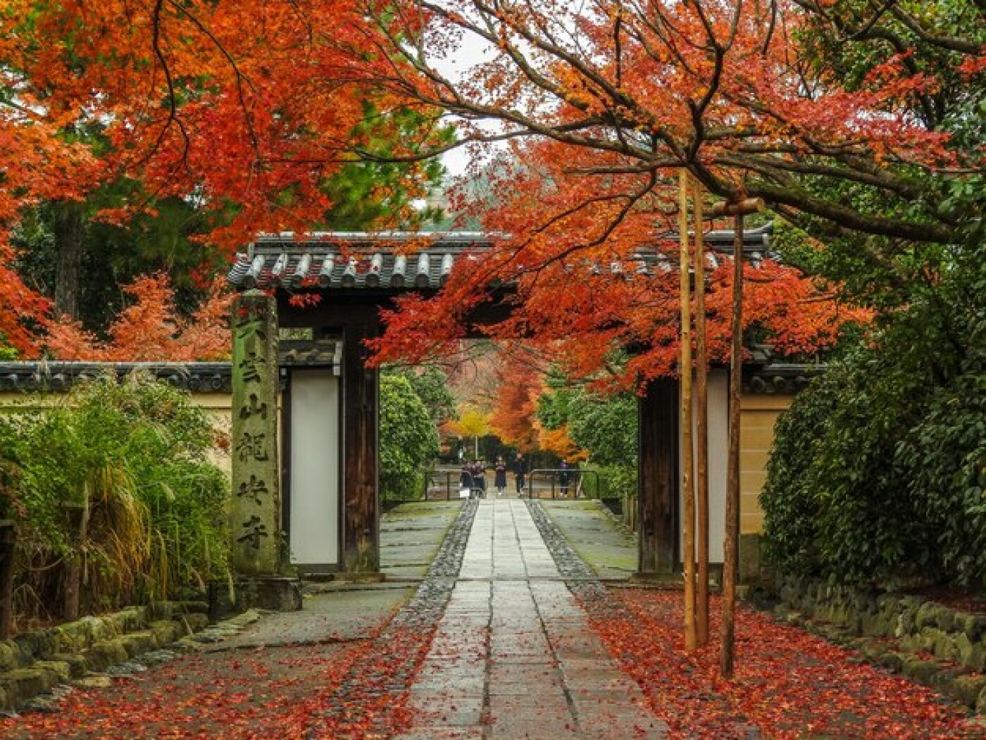 autumn kyoto 181624 12049